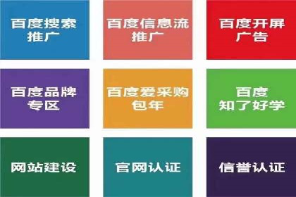 SEM优化策略：案例解读成功之道
